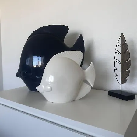 T3 Rénové De 70m2 Magnifique Vue Appartement Royan